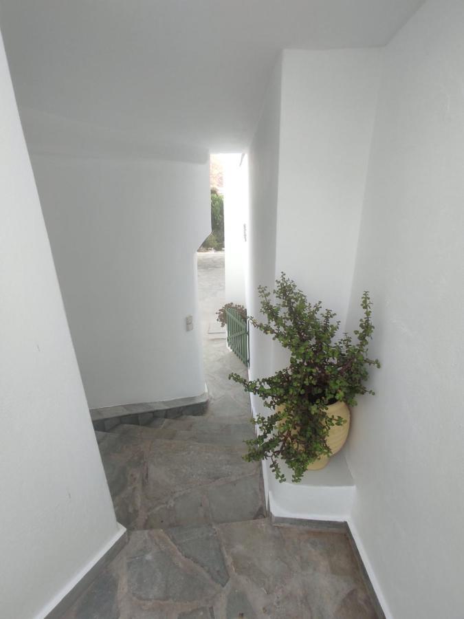 Willa House Moschα Ándros Zewnętrze zdjęcie